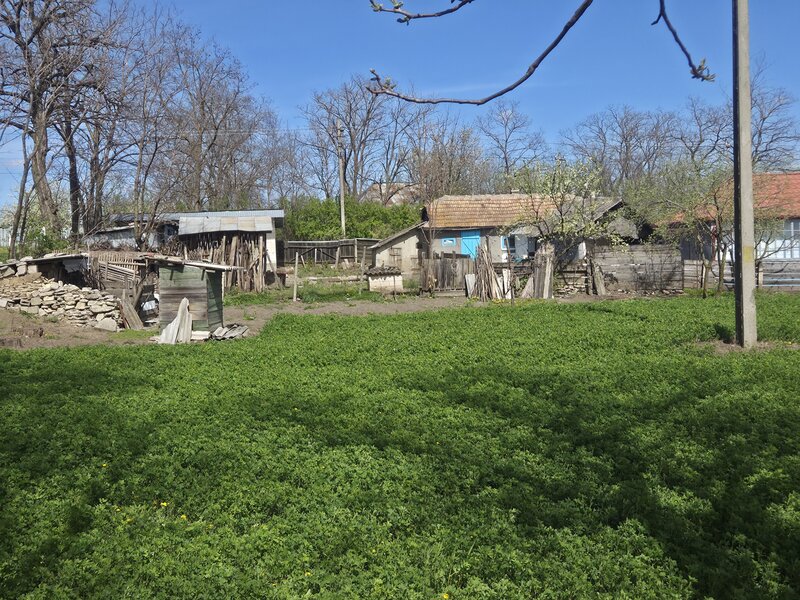 Miorcani, jud Botosani