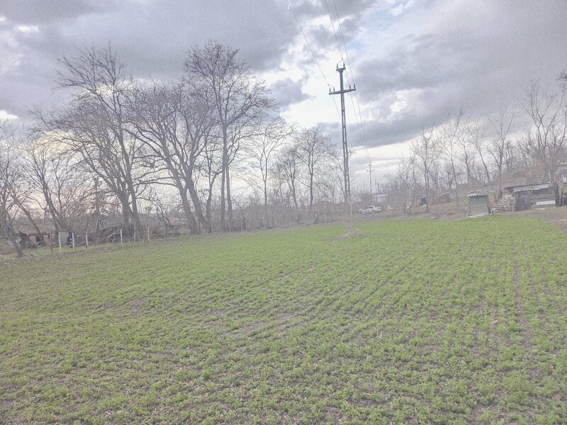Miorcani, jud Botosani